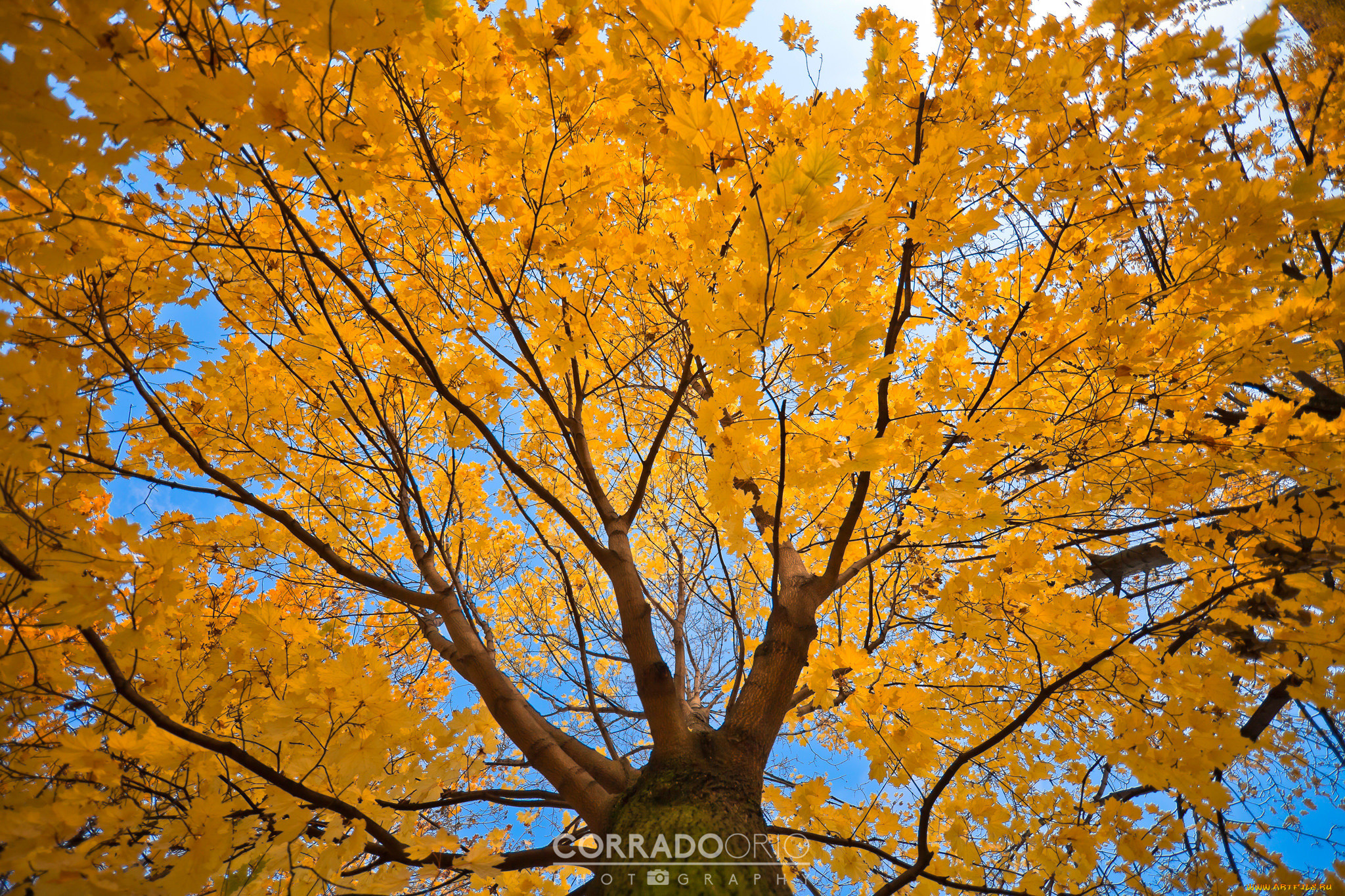 , , , corrado, orio, photography, , , , , 